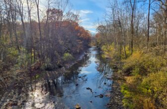 The Little Things Newsletter #497 &...