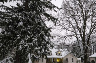 The Little Things Newsletter #498 &...