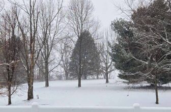 The Little Things Newsletter #499 &...