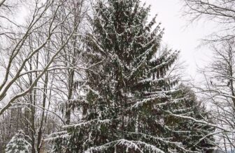 The Little Things Newsletter #500 &...