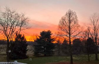 The Little Things Newsletter #501 &...