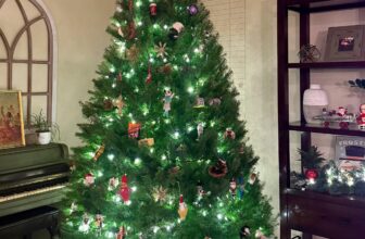 12.6 Friday Faves – The Fitne...