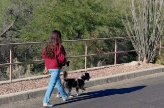 Low-Effort Wellness Habits That Act...