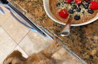 1.30 Friday Faves – The Fitne...