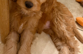 1.9 Friday Faves – The Fitnes...