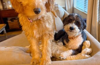 2.6 Friday Faves – The Fitnes...